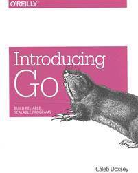 Introduction to Programming in Go: A Developer Resource (Paperback, 2016)
