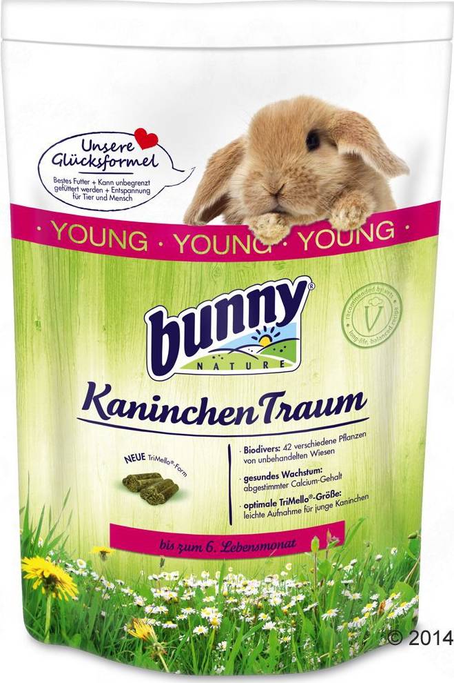 Young Rabbit - Dream