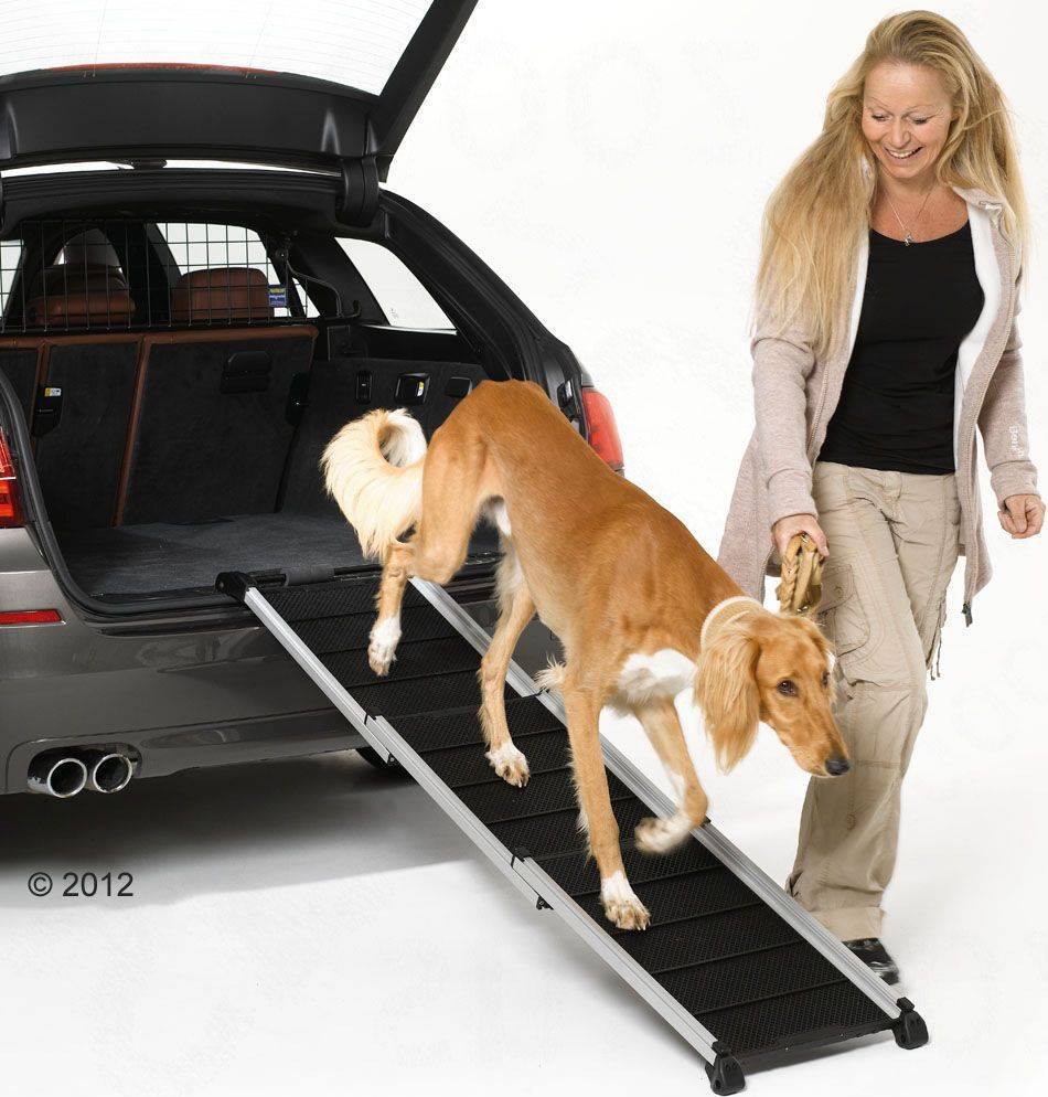 DogWalk Ramp L
