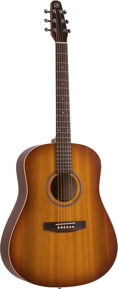 Seagull Entourage Rustic
