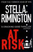 At Risk (Paperback, 2005)