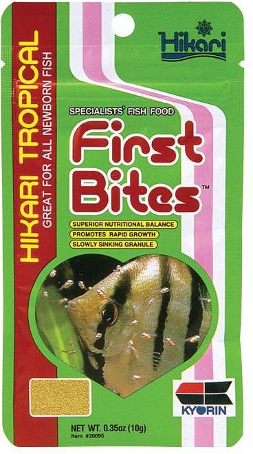 First Bites