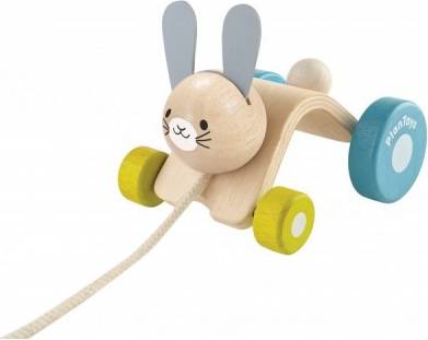 Hopping Rabbit