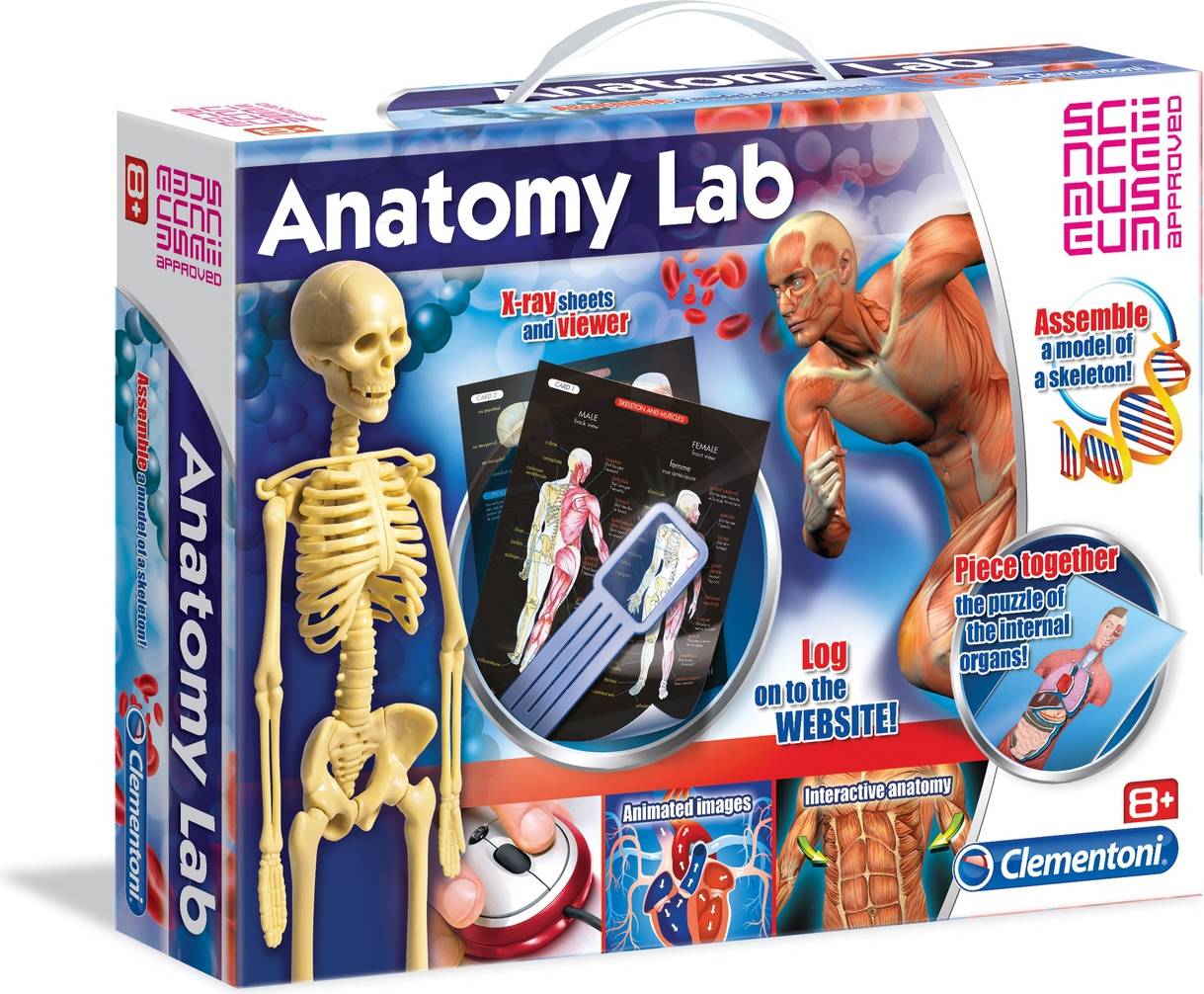 Clementoni Anatomy Lab