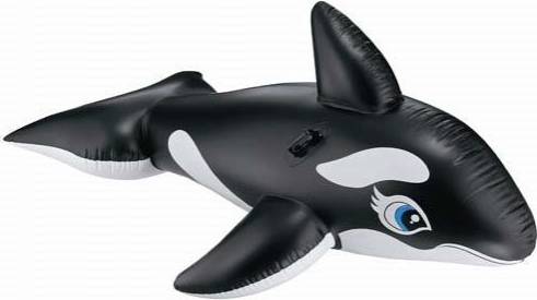 Whale Ride On