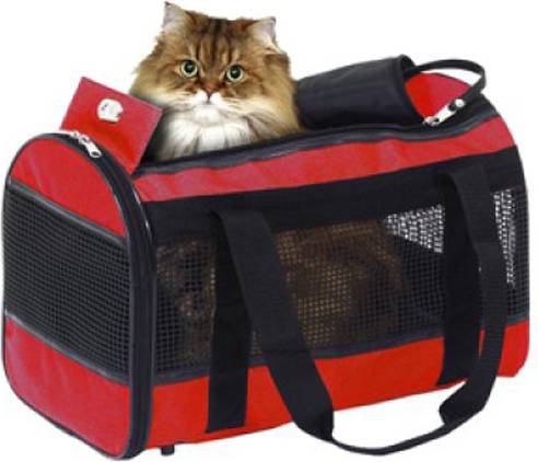 Carrying Case