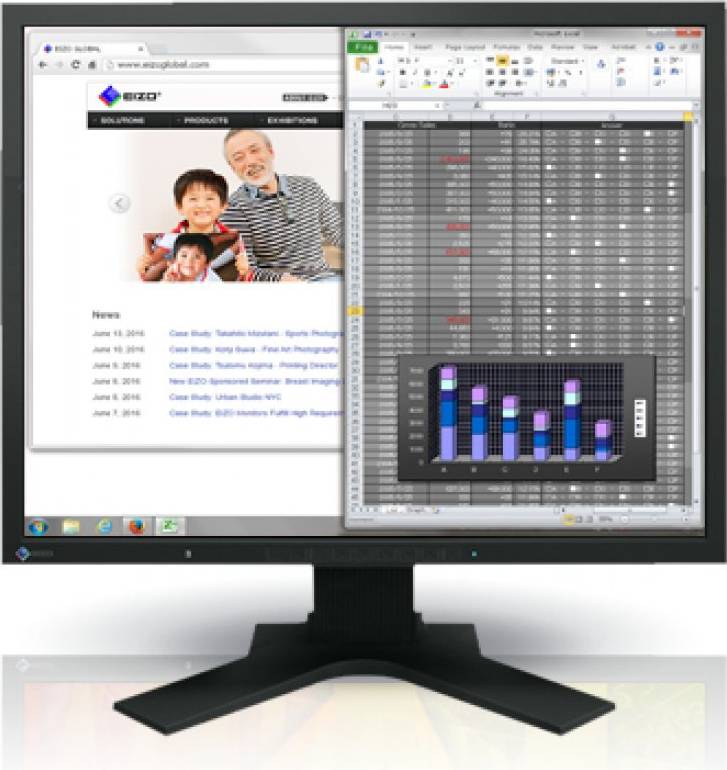 FlexScan S1934H LED Skjerm 19 Inch