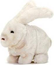 TOBAR Rabbit