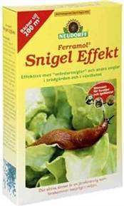 Snail Effect