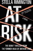 At Risk (Häftad)