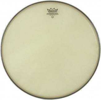 Remo Ambassador Renaissance 12''