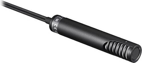 ECM-MS2