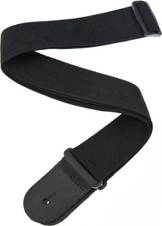 PWS100