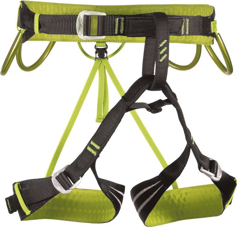 Camp Alpine Flash