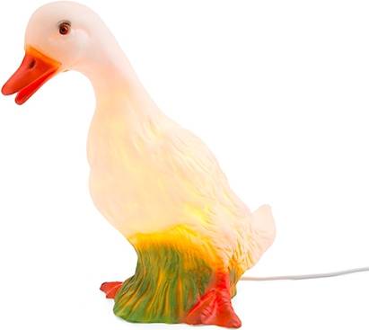 Duck