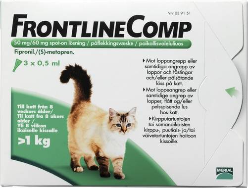 Frontline Comp