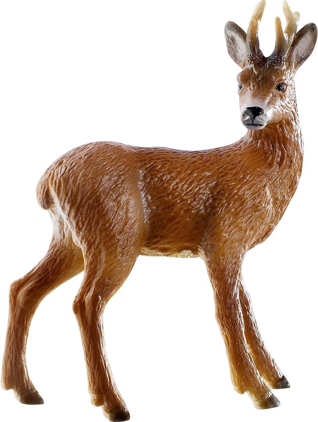 Roebuck 64436