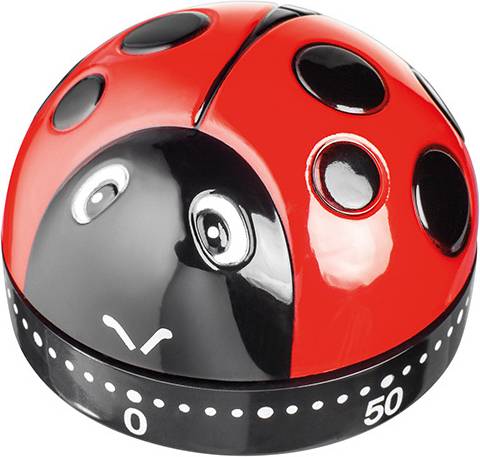 Judge Ladybird Kitchen Timer