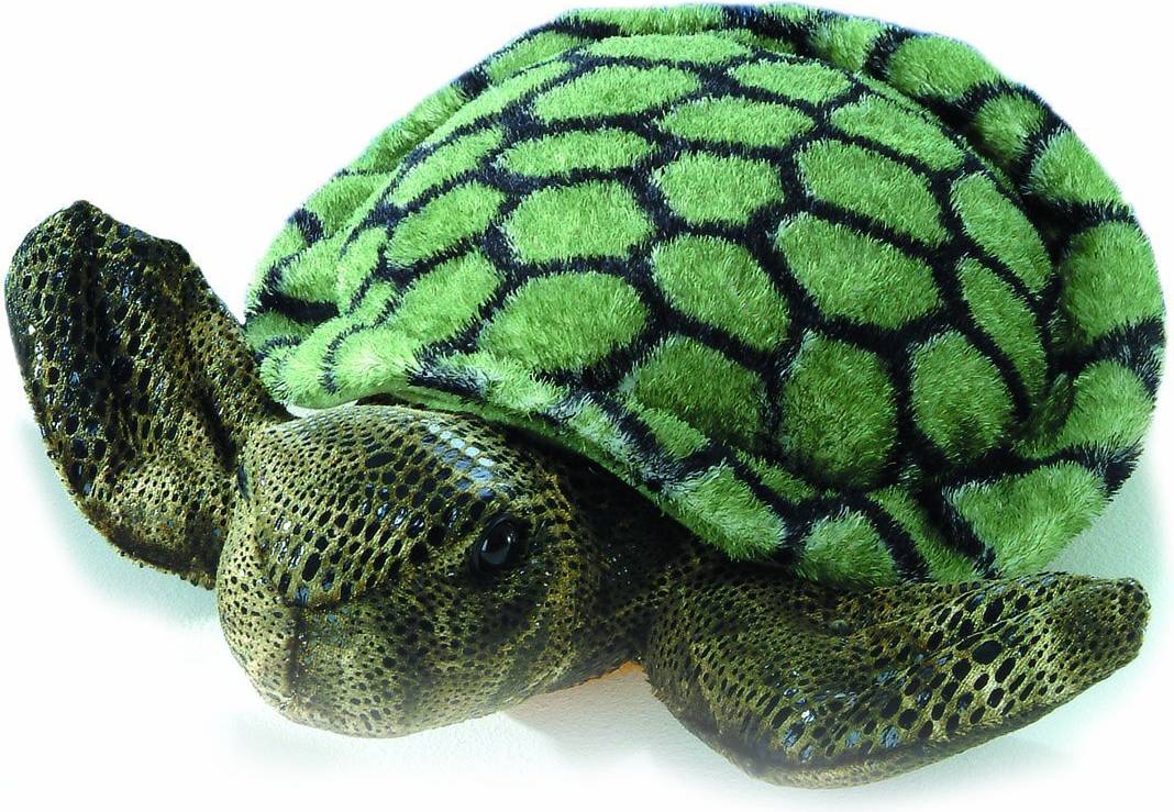 Splish Splash Sea Turtle