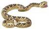 Mojo Rattlesnake 387268