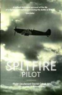 Spitfire Pilot (Paperback, 2008)
