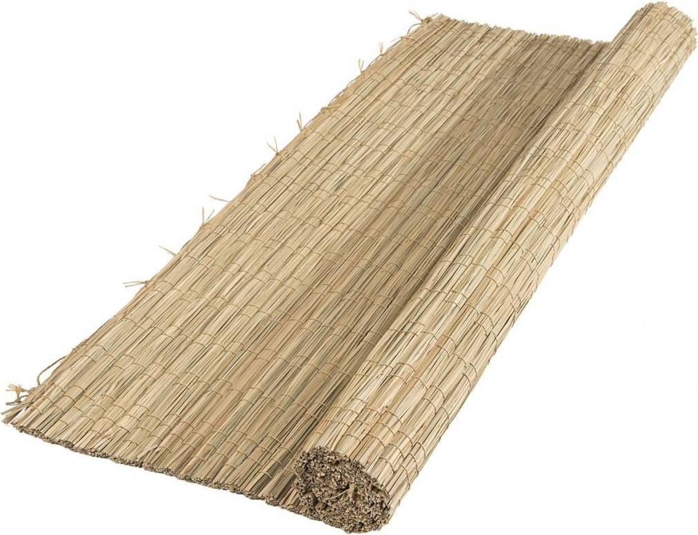 Garden Fence Sedge Reed