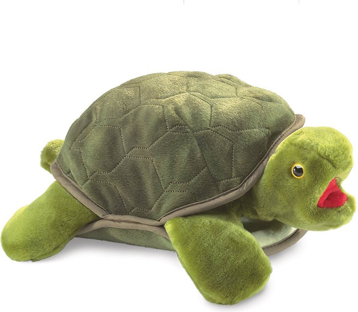Turtle 2021