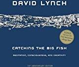Catching the Big Fish: Meditation, Consciousness, and Creativity