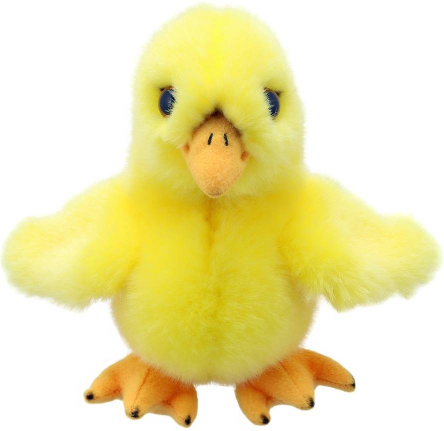Chick Wilberry Mini's