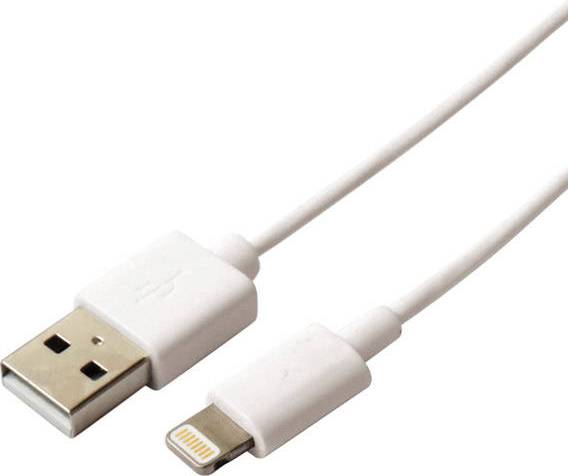 USB A-Lightning