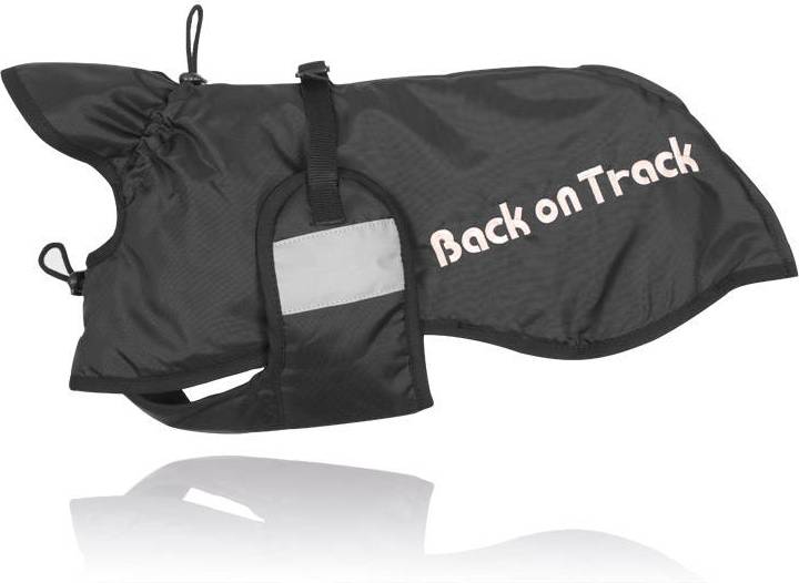 Back On Track Rug