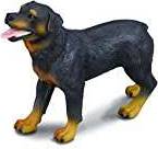 Collecta Rottweiler 88189
