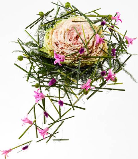 Bloomit Syet Rose i Rosa