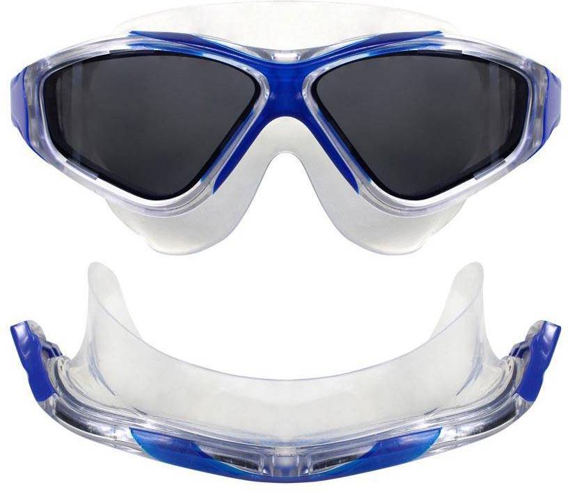 Vision Max