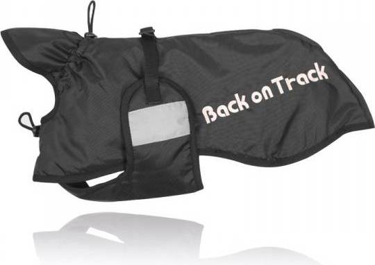 Back On Track Rug