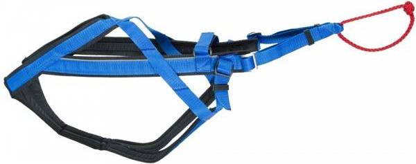 NEEWA Adjustable Racing Harness S