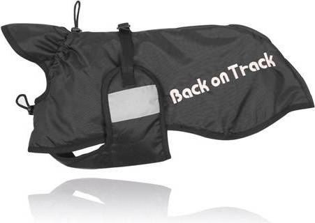 Back On Track Rug