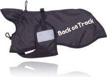 Back On Track Rug