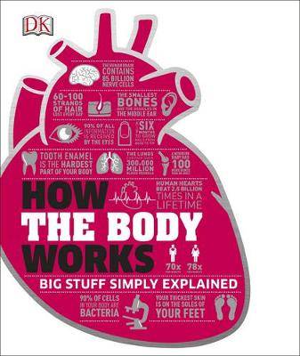 How the Body Works: Big Stuff Simply Explained (Dk Knowledge)