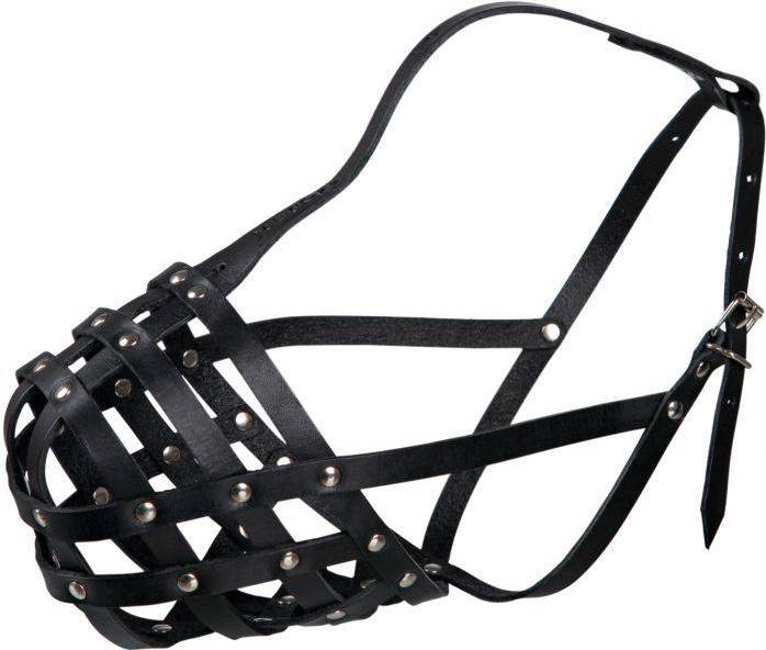 Trixie Julius-K9 Muzzle M