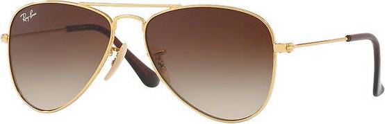Ray ban aviator Ray-Ban RJ9506S 223/13