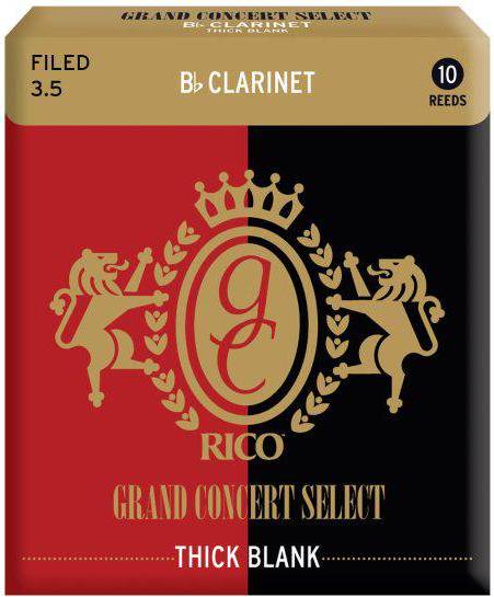 D'Addario RGT10BCL350