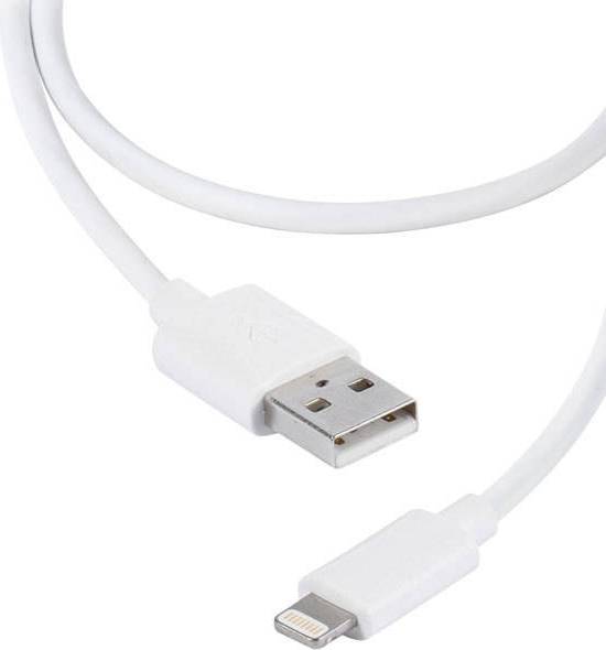 USB A - Lightning