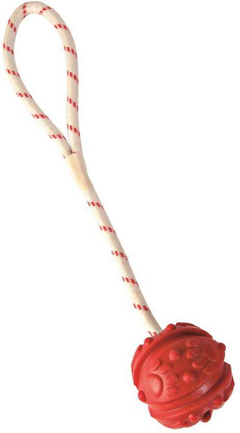 Ball on a Rope