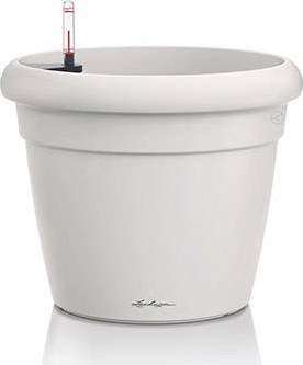 Rustico Color Pot