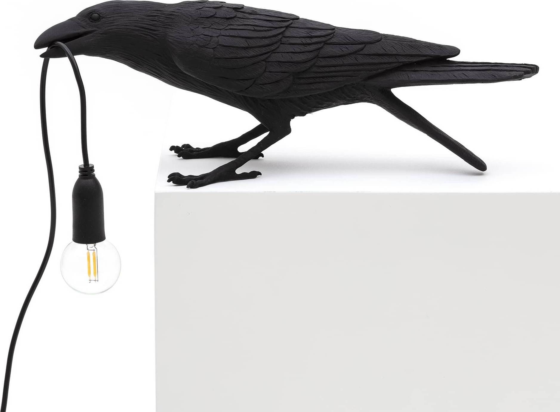 Bird Playing