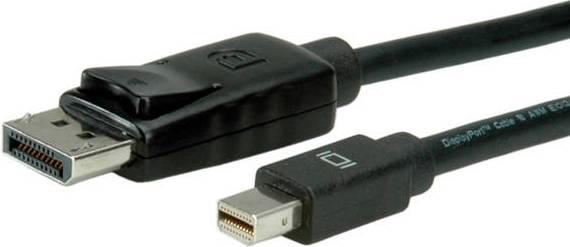 Roline DisplayPort - Mini DisplayPort 2m