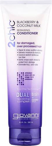 2Chic Reparing Conditioner