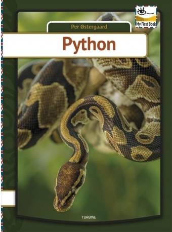 Python (Indbundet, 2019)