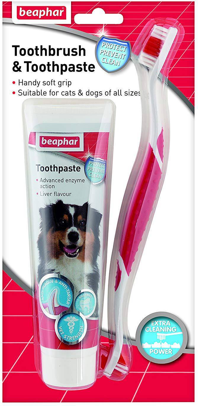 Beaphar Toothbrush and Toothpaste Kit